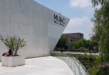 墨西哥国立自治大学城第 12 张图片