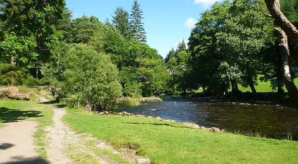 Gwydir Forest Park