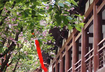 青龙寺第 55 张图片