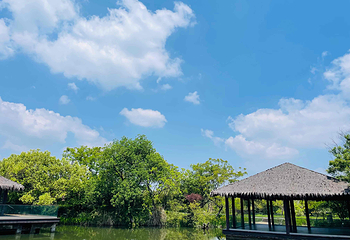 西溪国家湿地公园第 111 张图片
