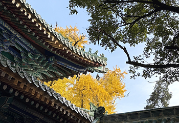 嵩山少林景区第 98 张图片