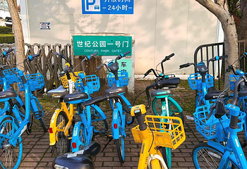 世纪公园第 46 张图片