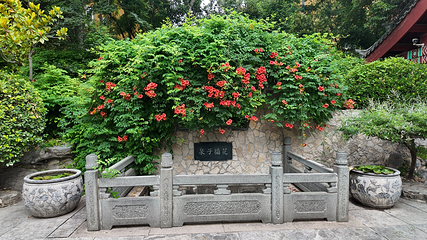 趵突泉景区第 124 张图片