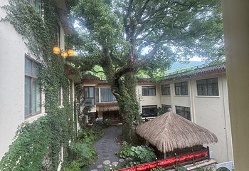 普陀山风景区第 419 张图片