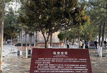 宝塔山第 75 张图片