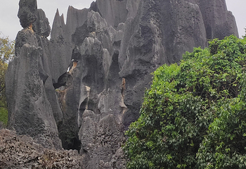 石林风景区第 284 张图片