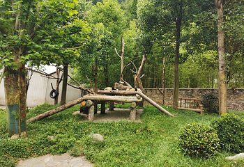 卧龙中华大熊猫苑神树坪基地第 100 张图片