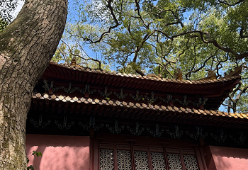 普陀山风景区第 267 张图片