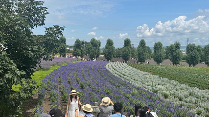 富田农场第 11 张图片