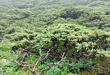 苍山第 194 张图片