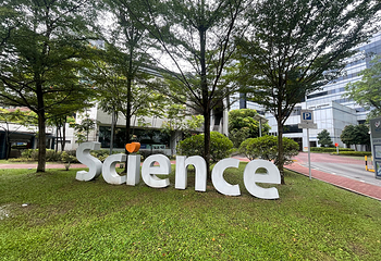 新加坡国立大学第 16 张图片