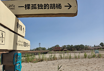 罗布人村寨第 60 张图片
