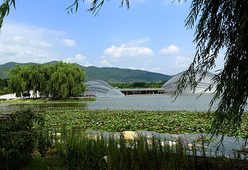 太原植物园第 55 张图片