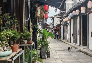 新场古镇第 78 张图片