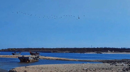 熊岳河白鹭洲湿地公园第 1 张图片