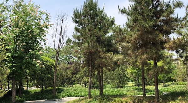 曲江大华社区公园-故事园