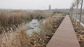 滏阳河国家湿地公园