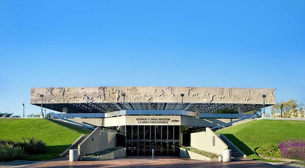 拉布雷亚沥青坑