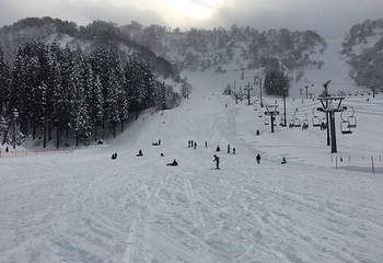 白山一里野温泉滑雪场第 9 张图片
