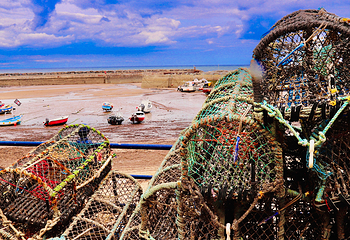 Robin Hoods Bay Beach第 7 张图片