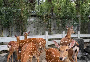 北京野生动物园第 300 张图片
