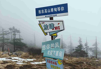 朱雀国家森林公园第 30 张图片