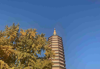 八大处公园第 64 张图片