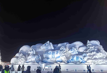 哈尔滨冰雪大世界第 618 张图片