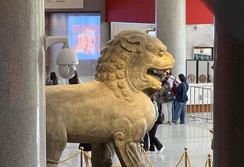 陕西历史博物馆第 316 张图片