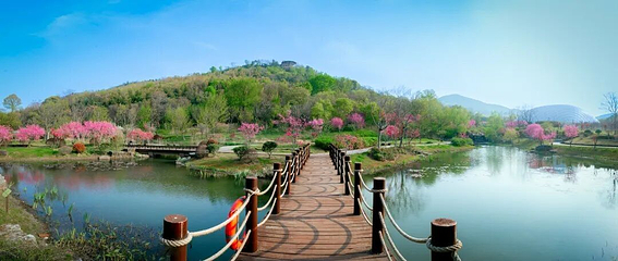 牛首山文化旅游区第 379 张图片