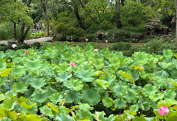 西湖游船第 33 张图片