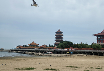 蓬莱阁第 113 张图片