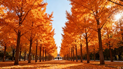 朝阳公园第 148 张图片