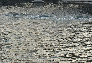 趵突泉景区第 309 张图片