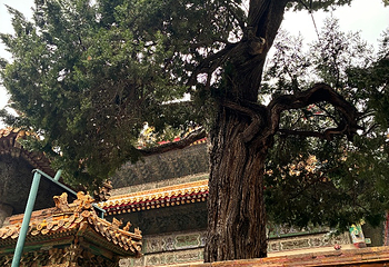 故宫博物院第 591 张图片
