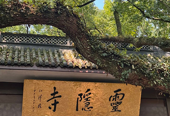 灵隐飞来峰景区第 104 张图片