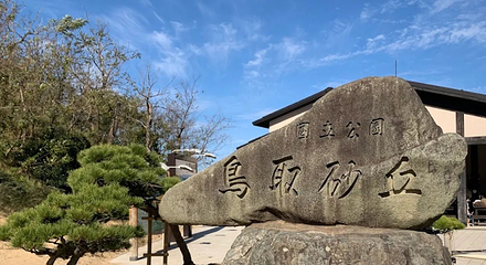 鸟取沙丘第 10 张图片
