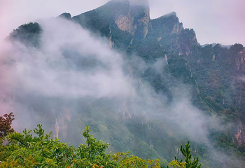 老界岭旅游度假区第 103 张图片