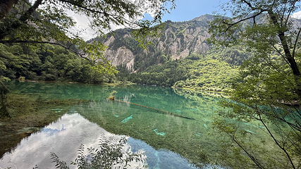 九寨沟风景区第 371 张图片