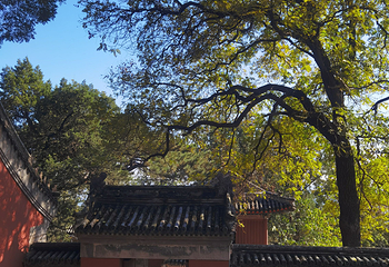 八大处公园第 67 张图片