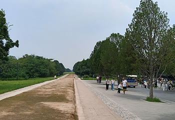 秦始皇帝陵博物院(兵马俑)第 636 张图片