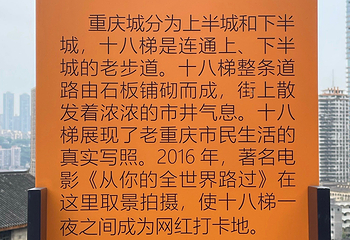 重庆十八梯传统风貌区第 163 张图片