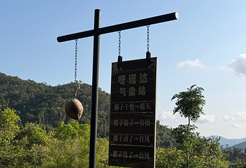 呀诺达热带雨林第 157 张图片