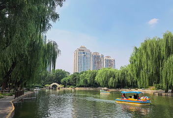 团结湖公园第 37 张图片