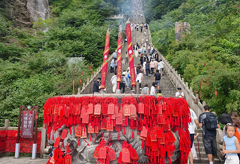 天门山国家森林公园第 218 张图片