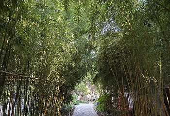 个园第 123 张图片