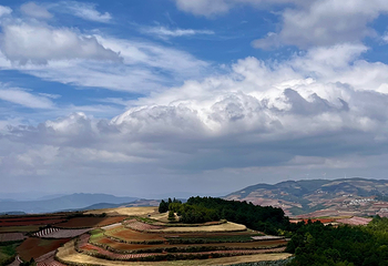 东川红土地第 49 张图片