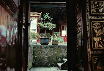 青城山第 405 张图片