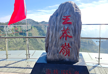 王莽岭风景区第 67 张图片