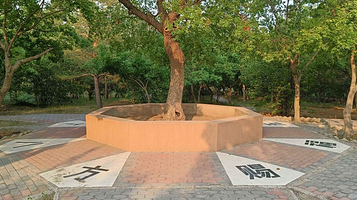 通辽市森林公园-五角枫